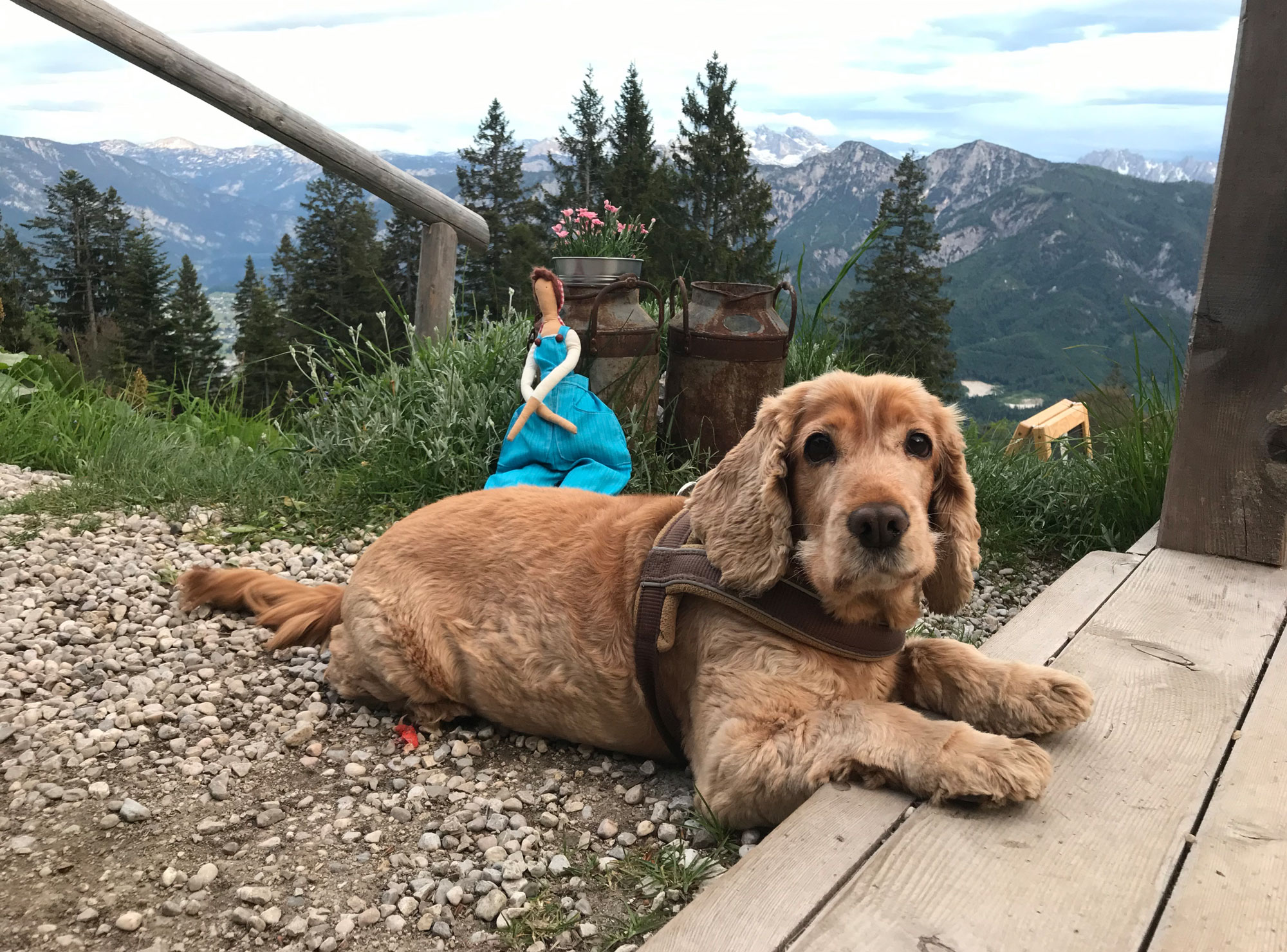 katrin almhuette_image-04